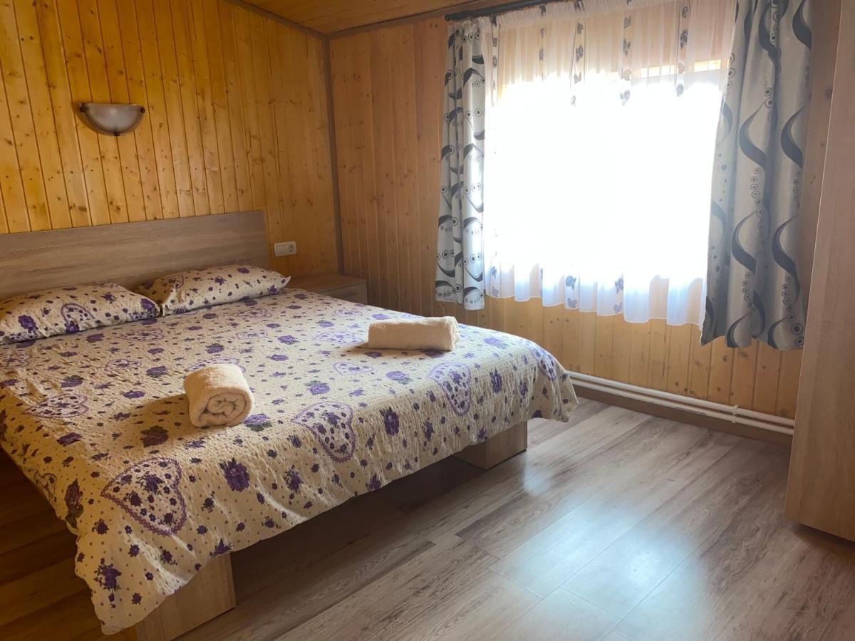 Отель Casa Blendea Daniela Кырцишоара Экстерьер фото