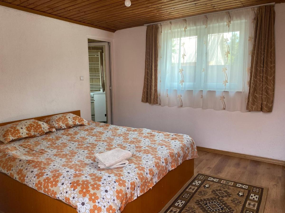 Отель Casa Blendea Daniela Кырцишоара Экстерьер фото