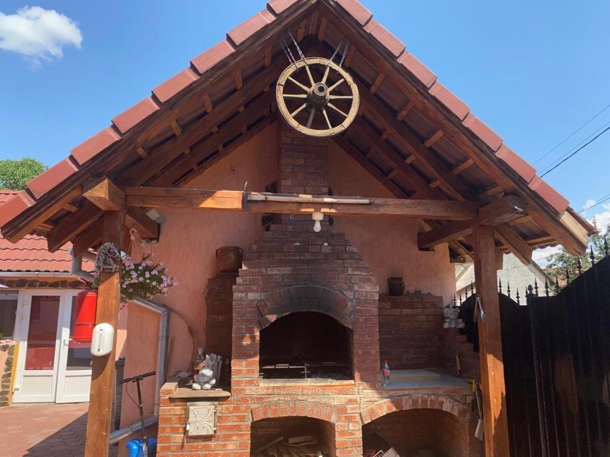 Отель Casa Blendea Daniela Кырцишоара Экстерьер фото