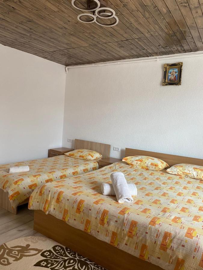 Отель Casa Blendea Daniela Кырцишоара Экстерьер фото
