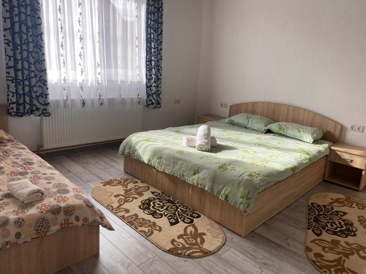 Отель Casa Blendea Daniela Кырцишоара Экстерьер фото