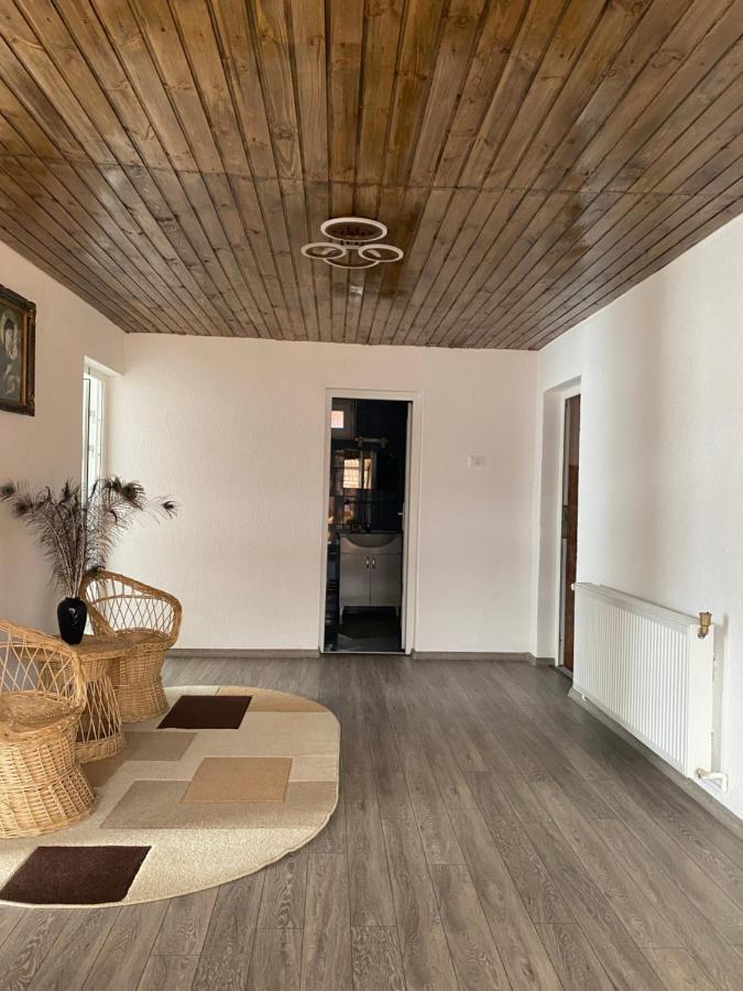 Отель Casa Blendea Daniela Кырцишоара Экстерьер фото